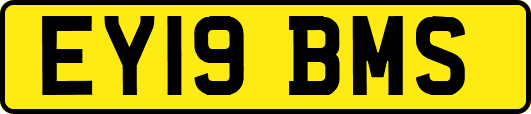 EY19BMS