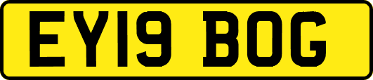 EY19BOG