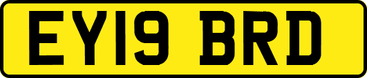 EY19BRD