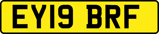 EY19BRF