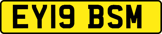 EY19BSM
