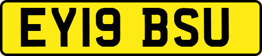 EY19BSU