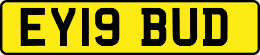 EY19BUD