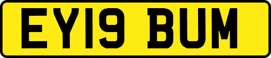 EY19BUM