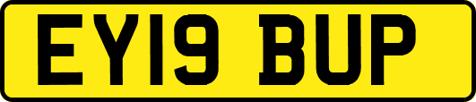 EY19BUP