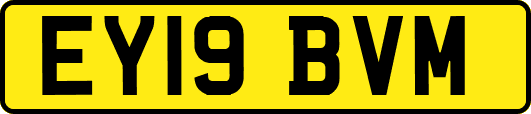 EY19BVM