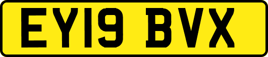 EY19BVX