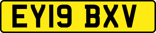 EY19BXV