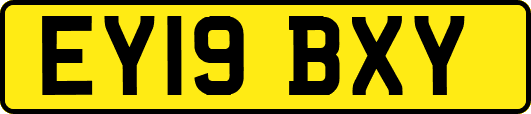 EY19BXY