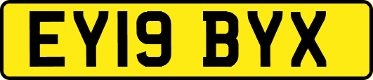 EY19BYX