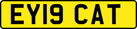 EY19CAT
