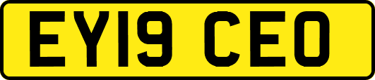 EY19CEO