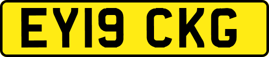 EY19CKG