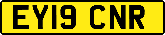 EY19CNR