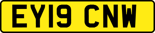 EY19CNW
