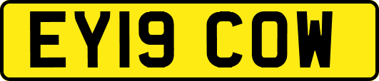 EY19COW