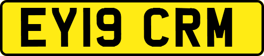 EY19CRM