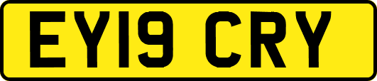 EY19CRY
