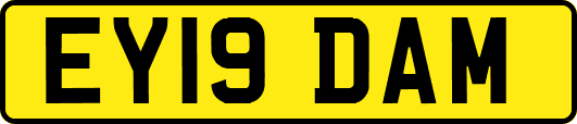 EY19DAM
