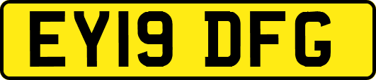 EY19DFG