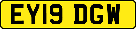 EY19DGW
