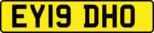 EY19DHO