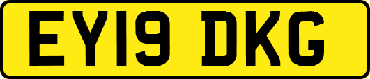 EY19DKG