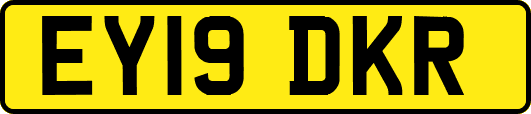 EY19DKR