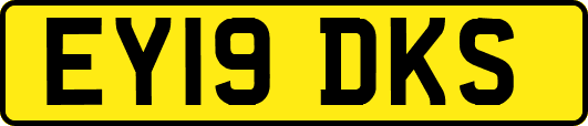 EY19DKS