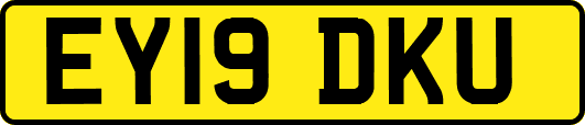 EY19DKU