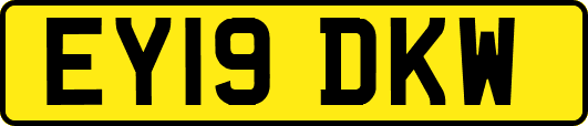 EY19DKW