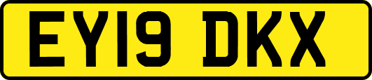 EY19DKX