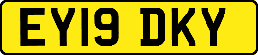 EY19DKY