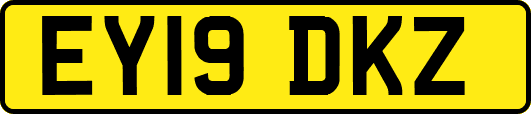 EY19DKZ