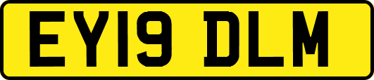 EY19DLM