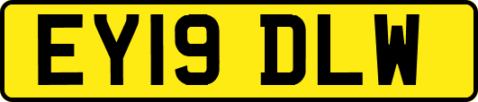 EY19DLW