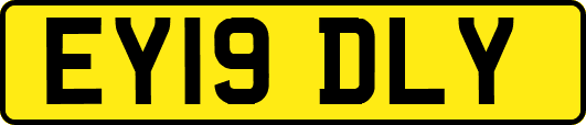 EY19DLY