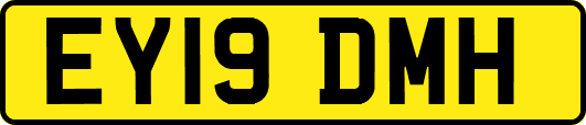EY19DMH