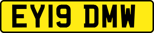 EY19DMW