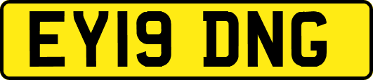 EY19DNG
