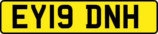 EY19DNH