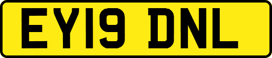 EY19DNL