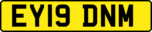EY19DNM