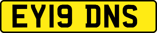 EY19DNS