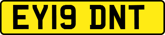 EY19DNT