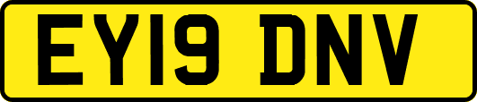 EY19DNV