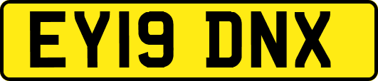 EY19DNX