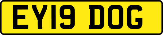 EY19DOG