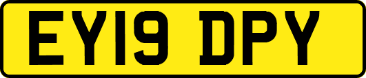 EY19DPY