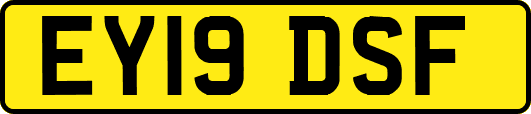 EY19DSF